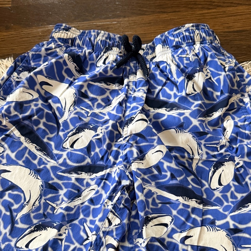 Vilebrequin Blue and White Swim Shorts